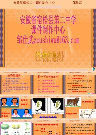 八年级生物生物的遗传课件