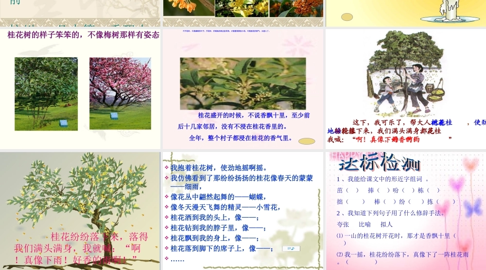 桂花雨课件(2)