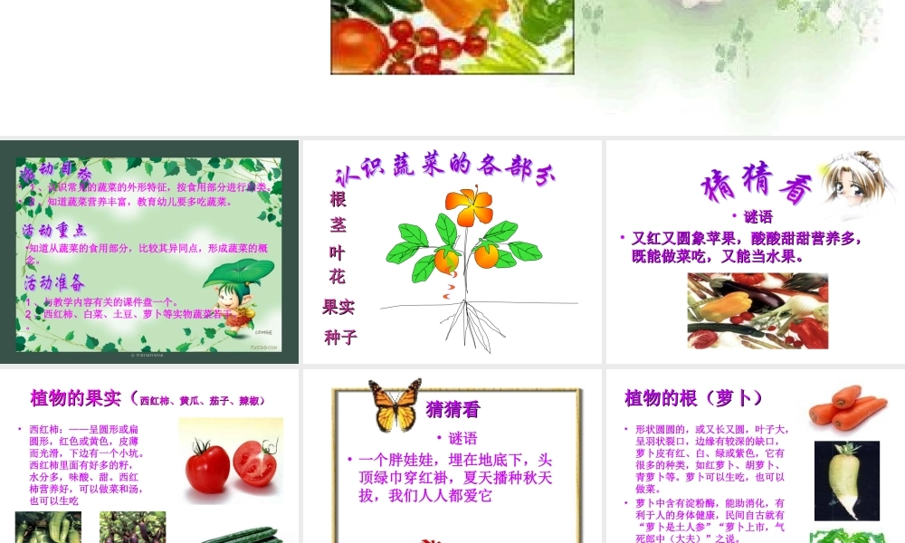 幼儿园课件-认识蔬菜