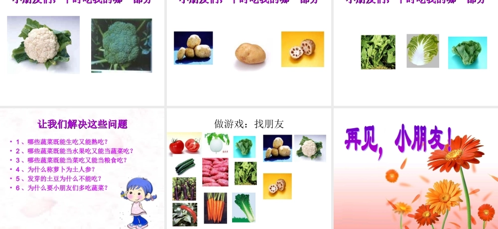 幼儿园课件-认识蔬菜