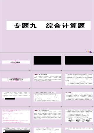 中考化学复习 第二编 重点题型突破篇 专题9 综合计算题(精讲)课件