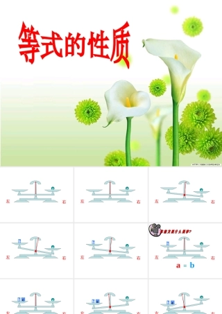 《312等式的性质》课件
