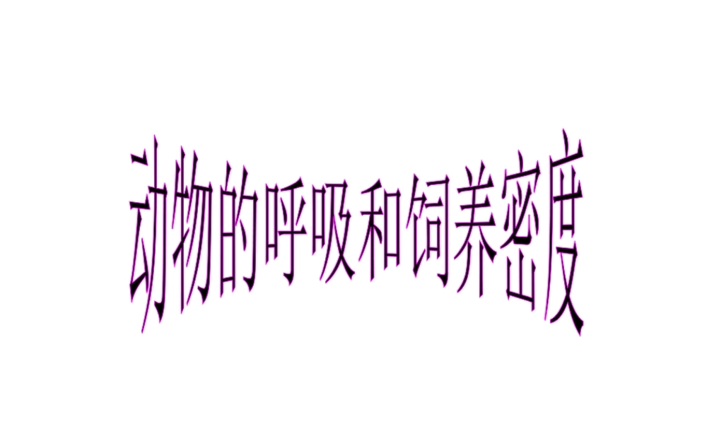 初二生物《动物和呼吸和饲养密度》课件(原创)