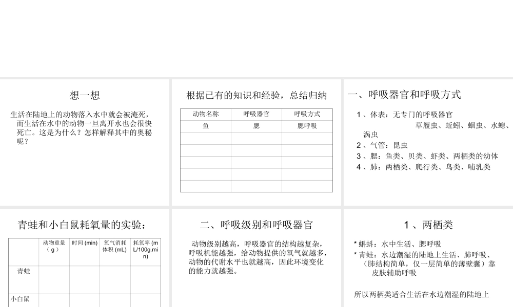 初二生物《动物和呼吸和饲养密度》课件(原创)