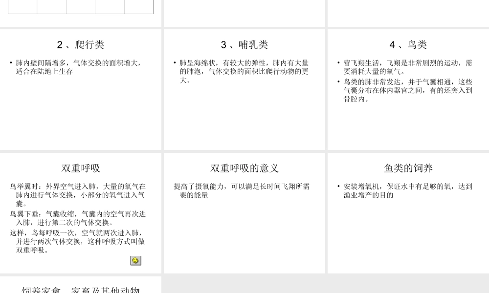 初二生物《动物和呼吸和饲养密度》课件(原创)