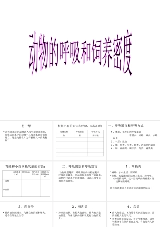 初二生物《动物和呼吸和饲养密度》课件(原创)