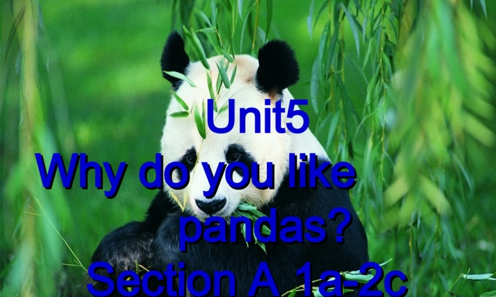 2013年新版七年级下册unit5sectionA1A-2C课件