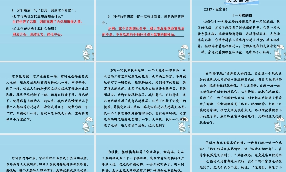 七年级语文上册 第五单元 16猫课件 新人教版 课件