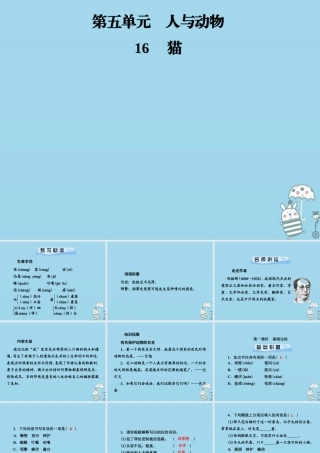 七年级语文上册 第五单元 16猫课件 新人教版 课件
