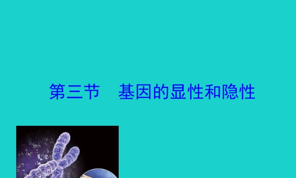 八年级生物下册 7.2.3 基因的显性和隐性课件(新版)新人教版 课件