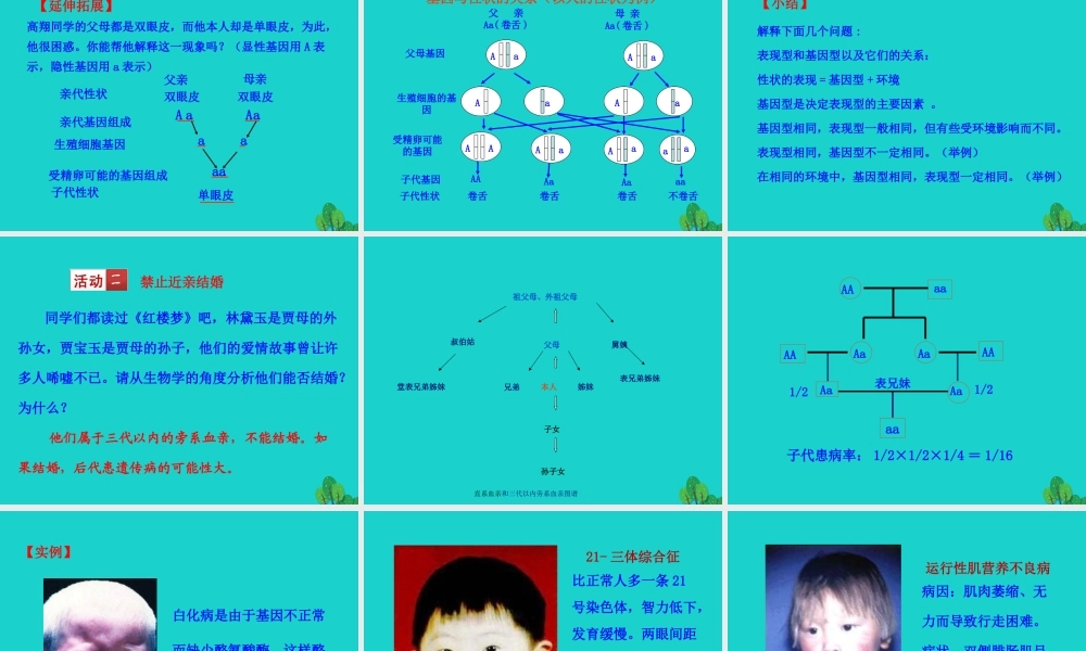 八年级生物下册 7.2.3 基因的显性和隐性课件(新版)新人教版 课件