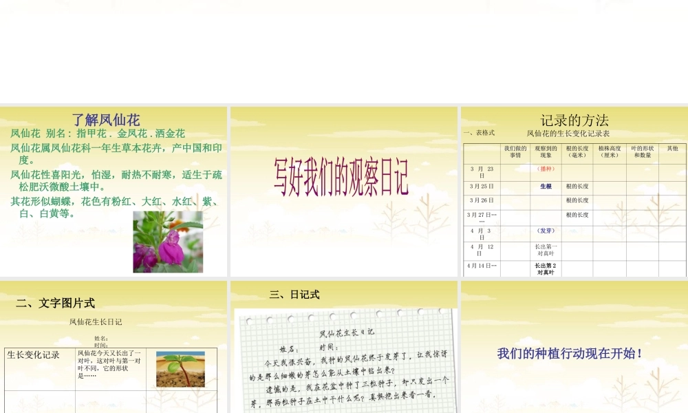 种植我们的植物2