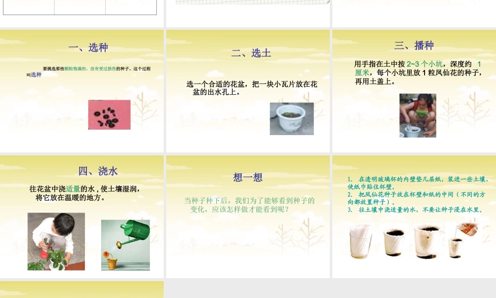 种植我们的植物2