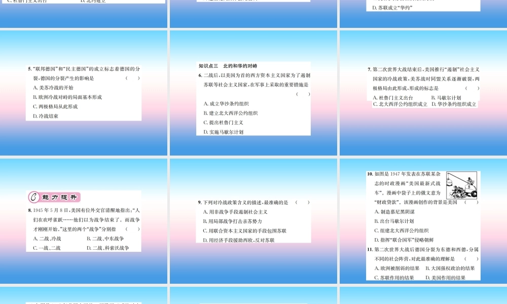 九年级历史下册 第5单元 冷战和美苏对峙的世界 第16课 冷战作业课件 新人教版 课件
