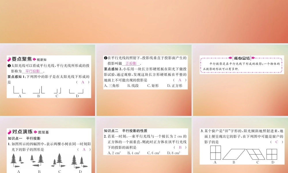九年级数学上册 第5章 投影与视图 51 投影(2)作业课件 (新版)北师大版 课件