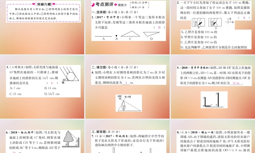 九年级数学上册 第5章 投影与视图 51 投影(2)作业课件 (新版)北师大版 课件
