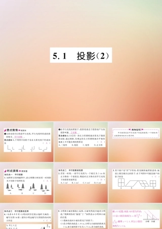 九年级数学上册 第5章 投影与视图 51 投影(2)作业课件 (新版)北师大版 课件