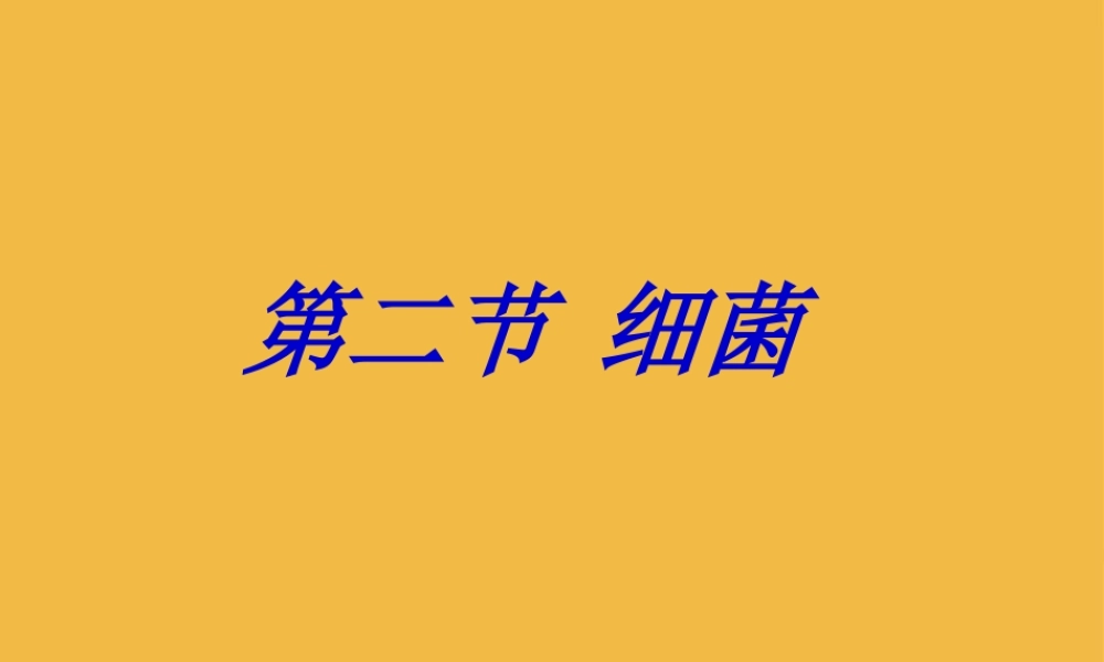 八年级生物上册 细菌和真菌的分布课件2 人教新课标版 课件