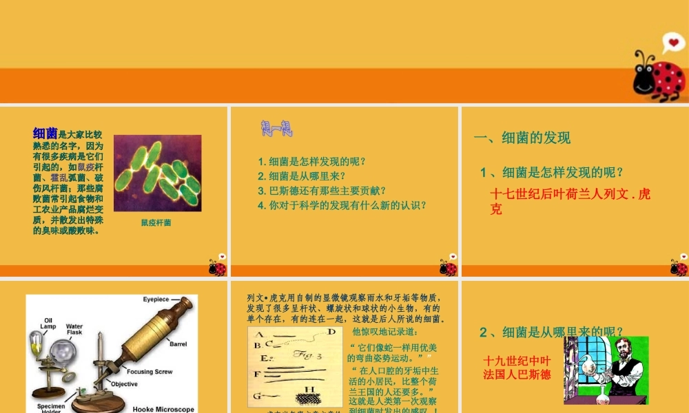 八年级生物上册 细菌和真菌的分布课件2 人教新课标版 课件