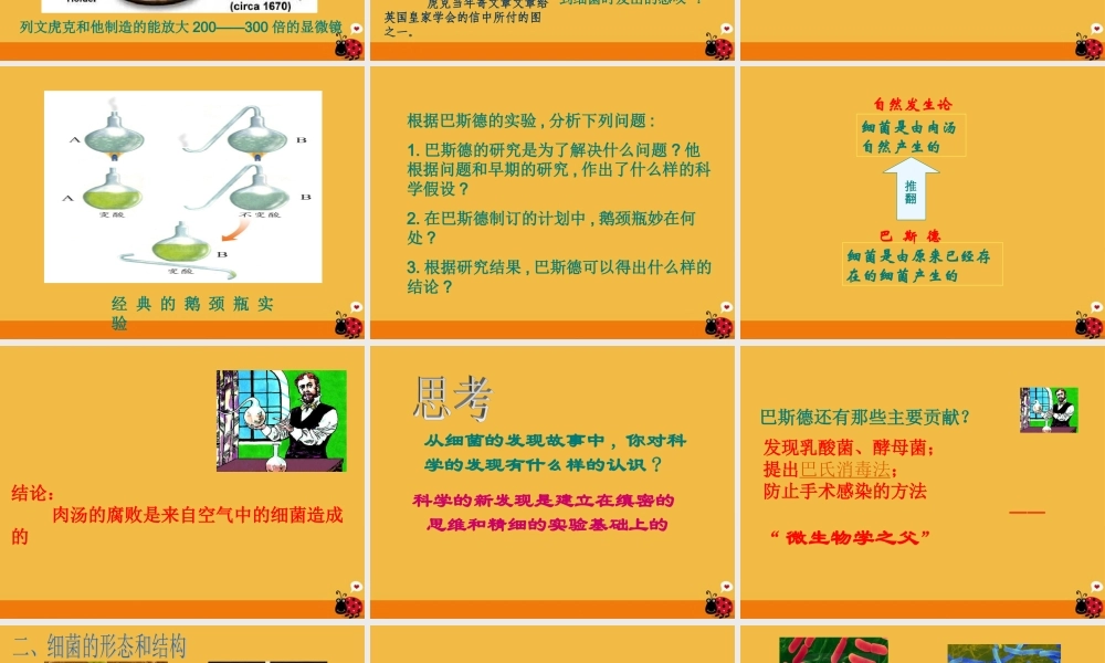 八年级生物上册 细菌和真菌的分布课件2 人教新课标版 课件