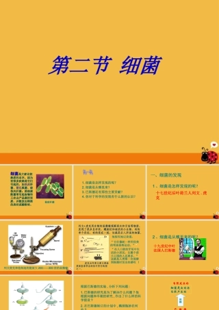 八年级生物上册 细菌和真菌的分布课件2 人教新课标版 课件