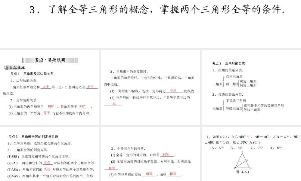 三角形zmj-6381-89842(1)