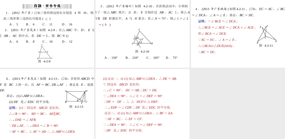 三角形zmj-6381-89842(1)