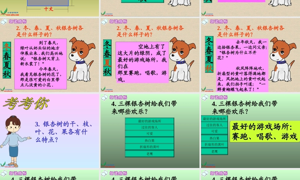 西师大版四年级语文三棵银杏树gdkj