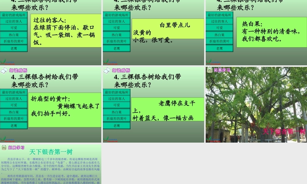西师大版四年级语文三棵银杏树gdkj