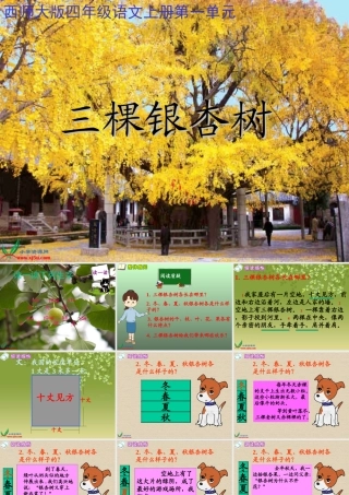 西师大版四年级语文三棵银杏树gdkj