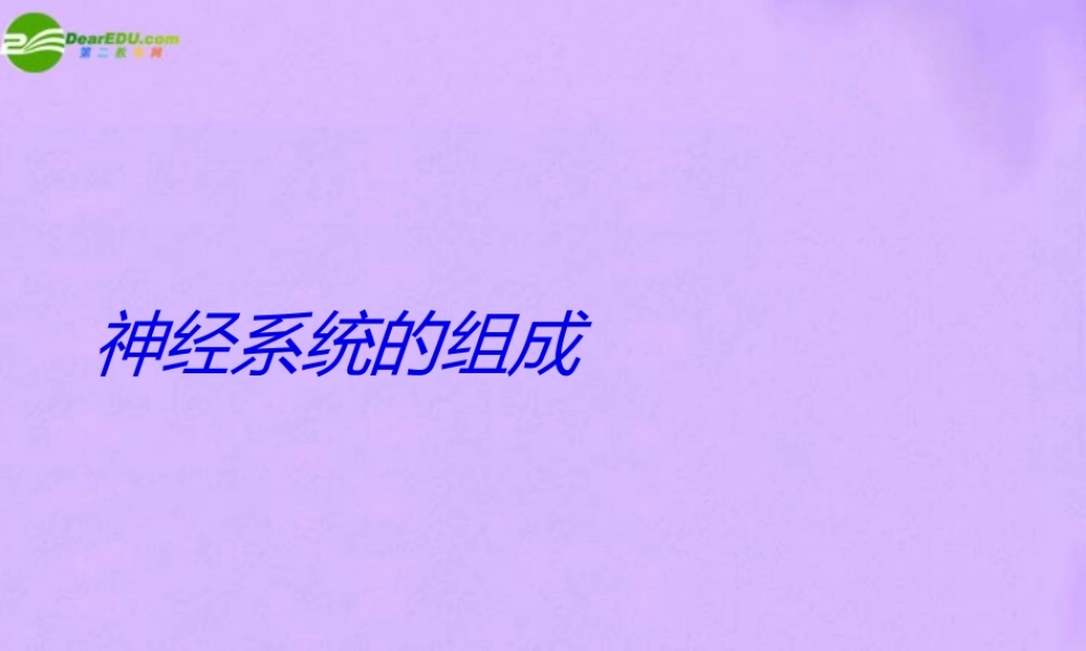八年级生物下册 第二章 第二节 神经系统课件 上海版本 课件