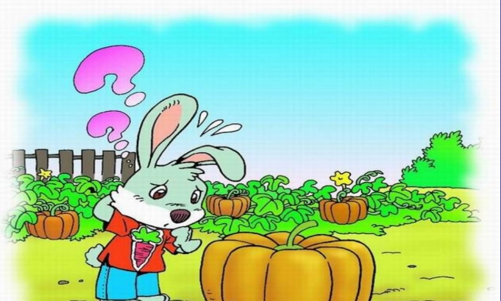 《小兔运南瓜》教学课件PPT课件(1)