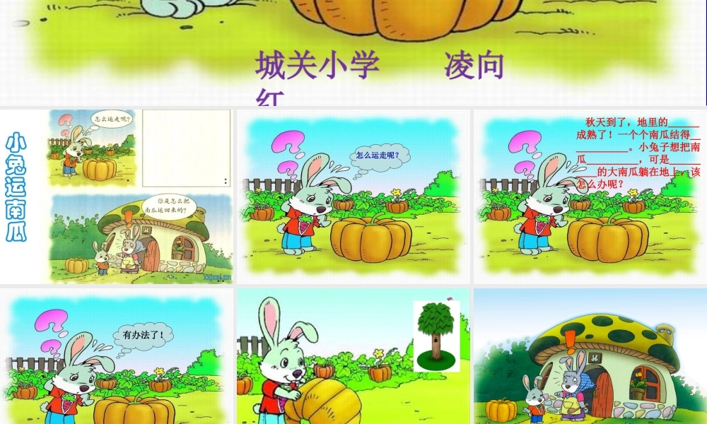 《小兔运南瓜》教学课件PPT课件(1)