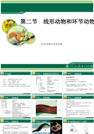 线形动物和环节动物课件李洪波