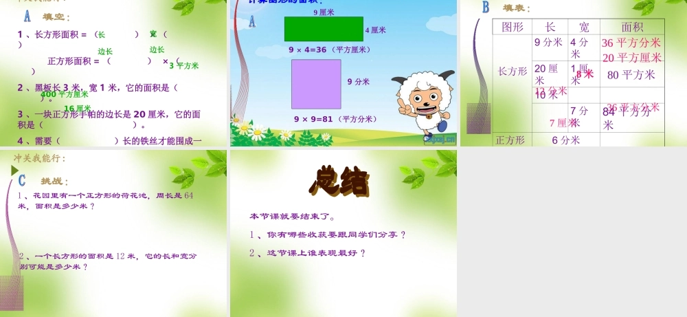 人教2011版小学数学三年级6.2长方形正方形面积的计算.2《长方形正方形面积的计算》