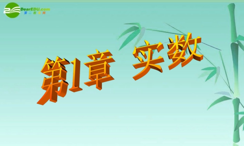八年级数学上册第一章实数复习课件 湘教版 课件