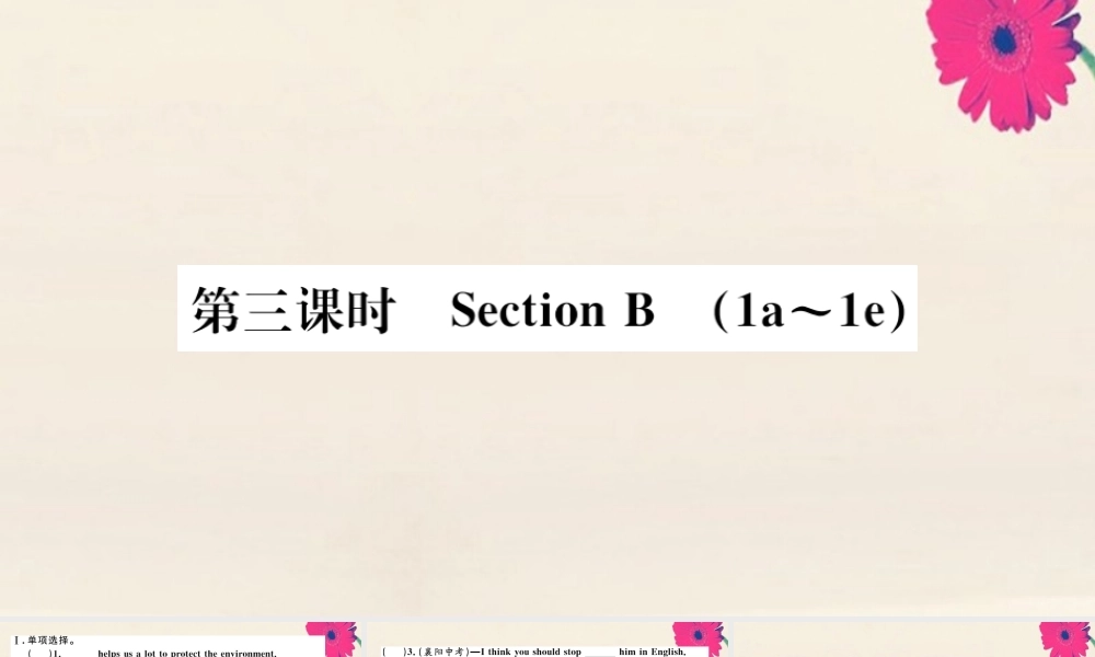 九年级英语全册 Unit 13 We re trying to save the earth(第3课时)作业课件 (新版)人教新目标版 课件