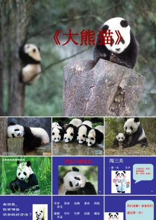 《大熊猫》演示文稿
