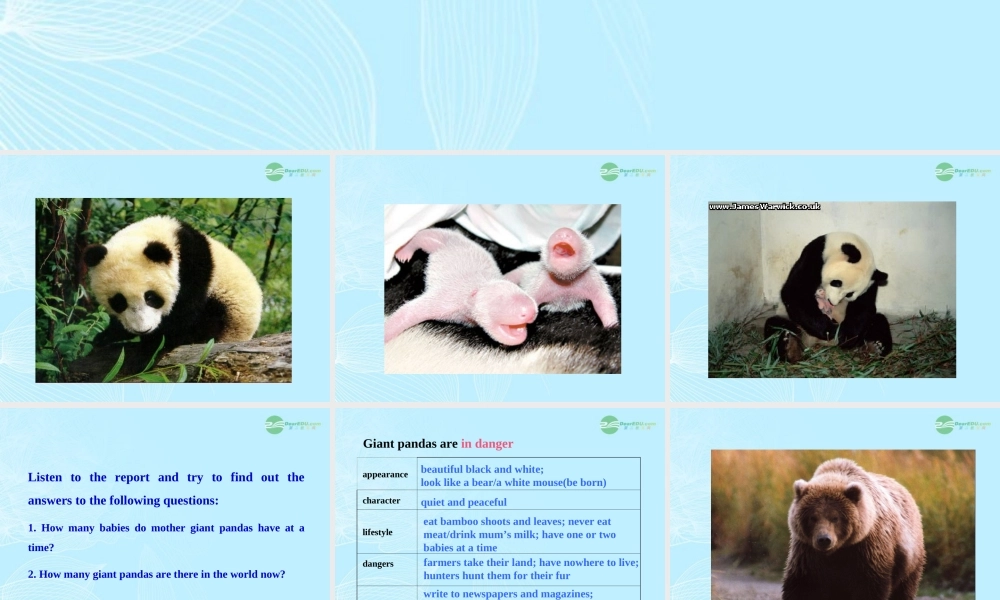 八年级英语上册(Unit 4 Wild animals) Main task课件 牛津译林版 课件