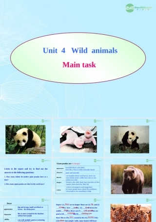 八年级英语上册(Unit 4 Wild animals) Main task课件 牛津译林版 课件