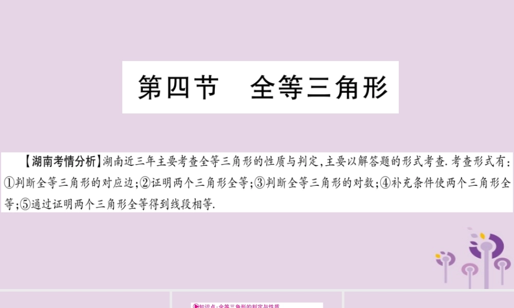 中考数学复习 第一轮 考点系统复习 第4章 三角形 第4节 全等三角形导学课件