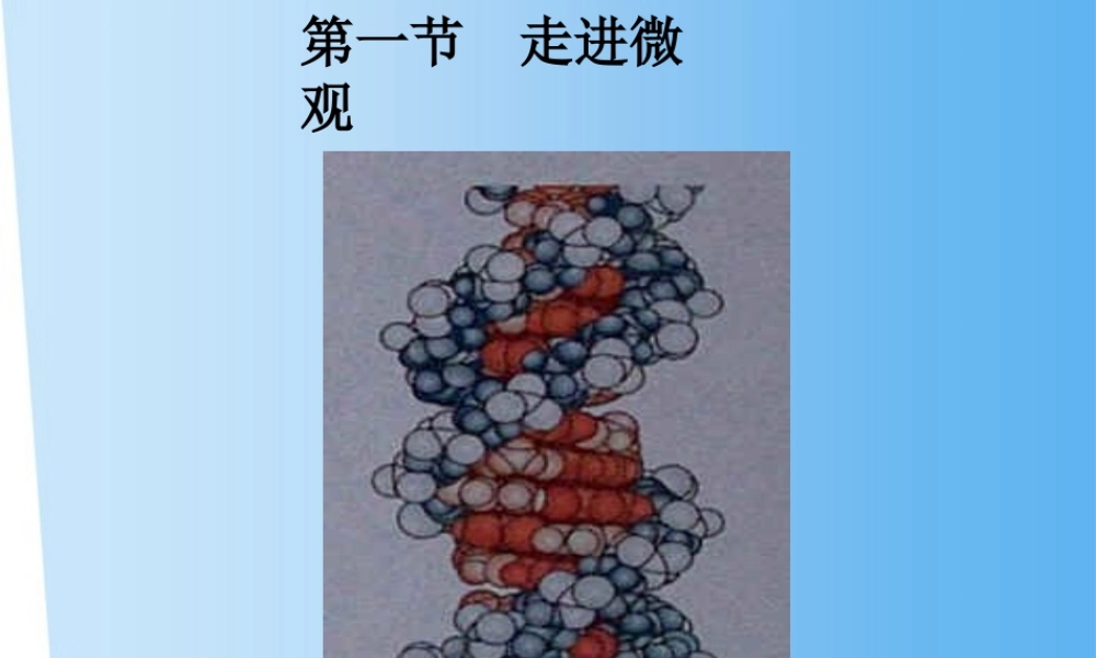 八年级物理下册 第一节 走进微观课件 沪科版 课件
