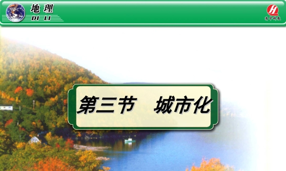 《城市化》PPT课件