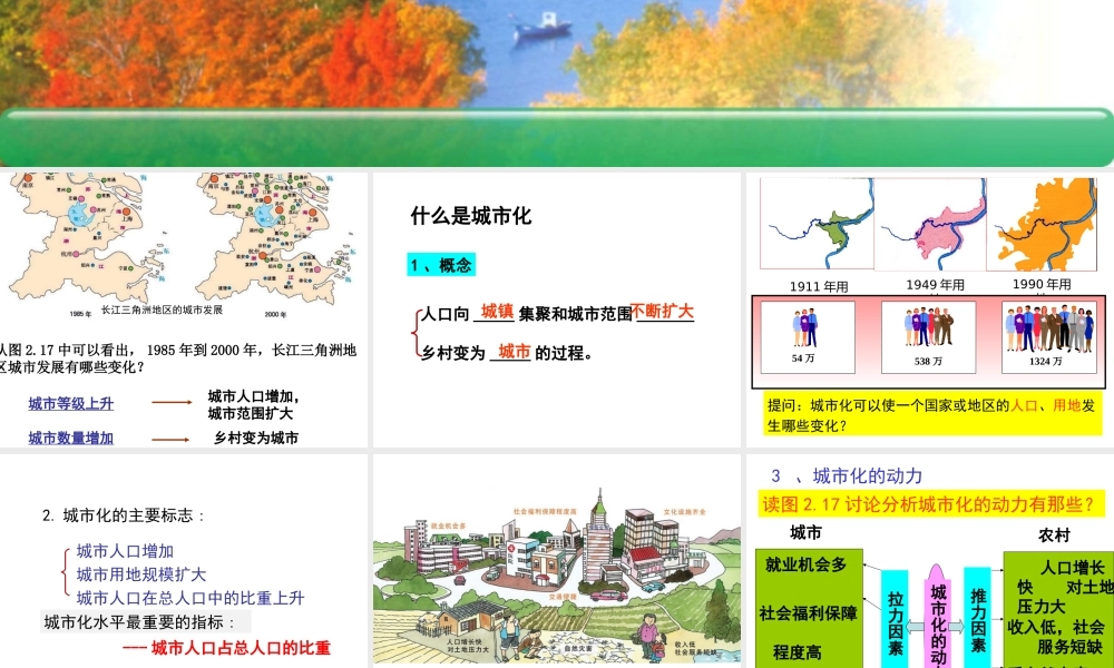 《城市化》PPT课件