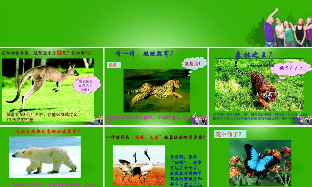 八年级生物上册 第一章第一节陆地生活的动物课件 人教新课标版 课件