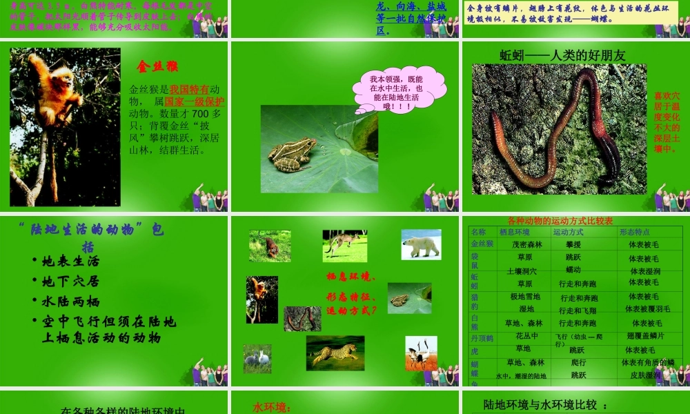 八年级生物上册 第一章第一节陆地生活的动物课件 人教新课标版 课件