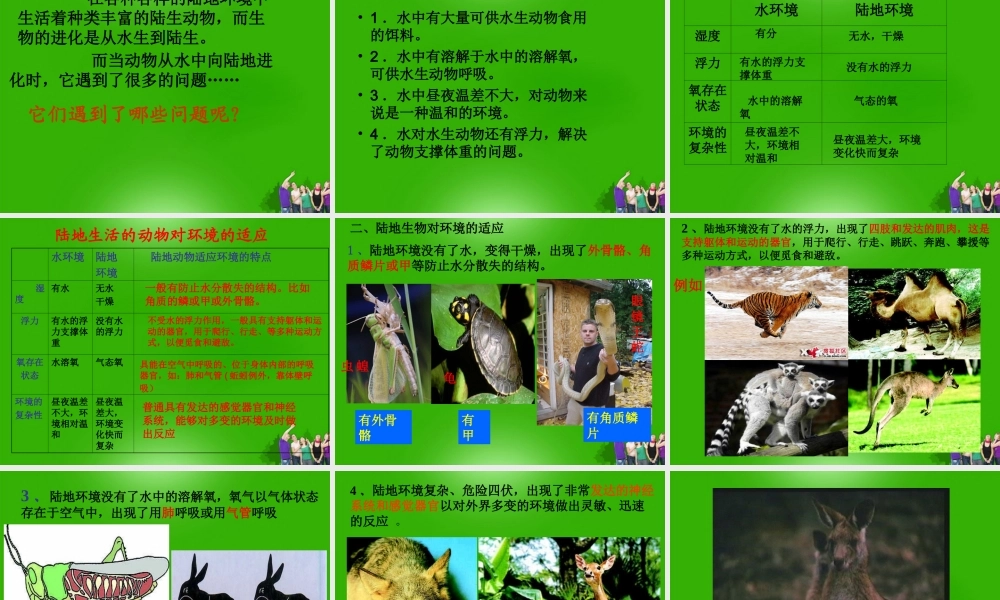 八年级生物上册 第一章第一节陆地生活的动物课件 人教新课标版 课件