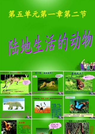 八年级生物上册 第一章第一节陆地生活的动物课件 人教新课标版 课件