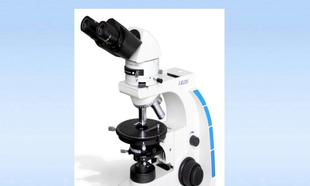八年级生物上册 第五单元第四章第二节课件 人教新课标版 课件