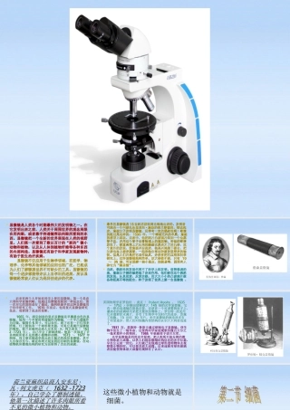 八年级生物上册 第五单元第四章第二节课件 人教新课标版 课件